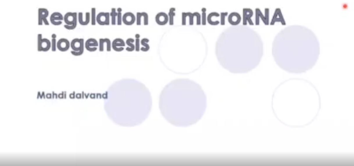 تنظیم ساخت microRNA ها - ارائه پایانی مهدی دالوند