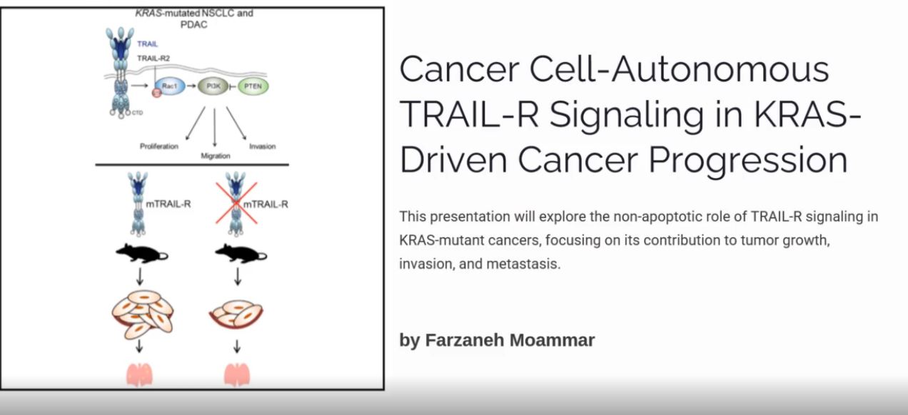 نقش مسیر سیگنالینگ TRAIL_R در پیشرفت سرطان - فرزانه معمر